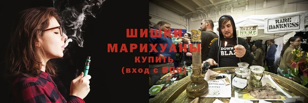 тгк Гусь-Хрустальный
