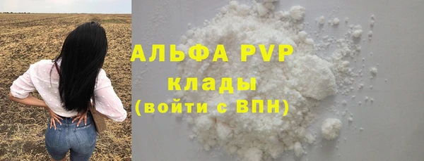 сатива Гусев