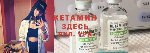 сатива Гусев