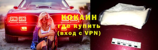 тгк Гусь-Хрустальный