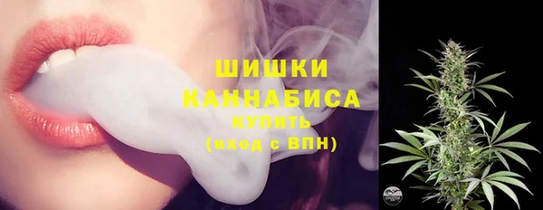 тгк Гусь-Хрустальный