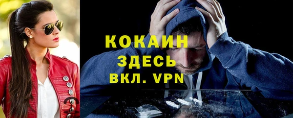 сатива Гусев