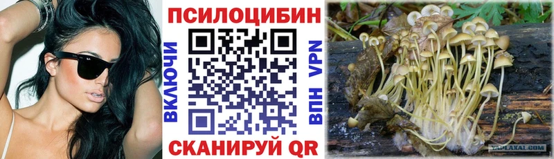Псилоцибиновые грибы Cubensis  купить   MEGA   Домодедово 